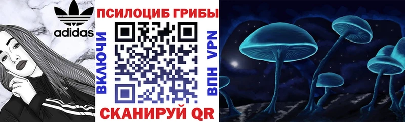 Галлюциногенные грибы прущие грибы  Тольятти 