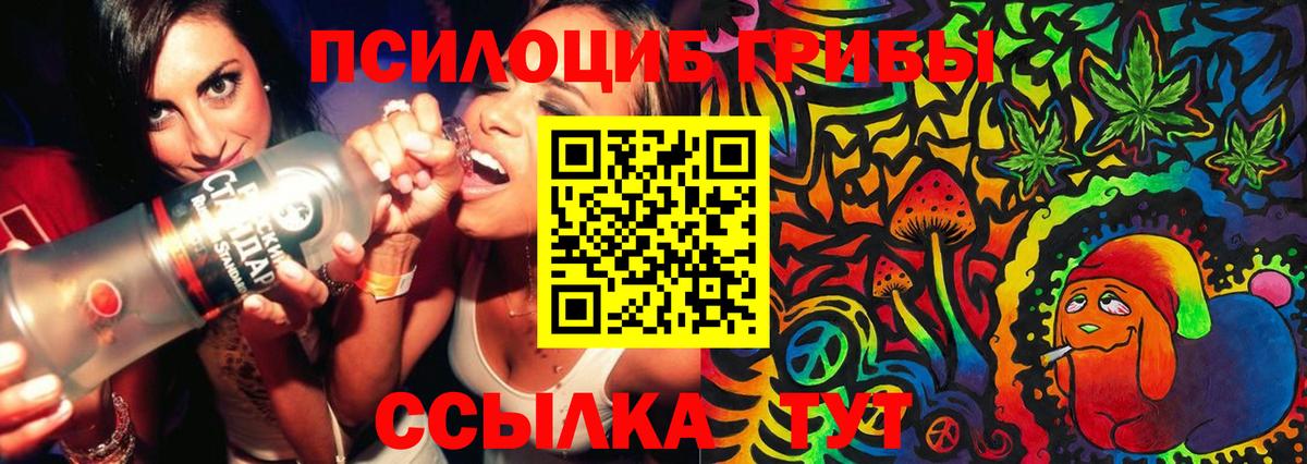 Тольятти  Галлюциногенные грибы Psilocybine cubensis  Псилоцибиновые грибы мицелий  Вход с VPN 